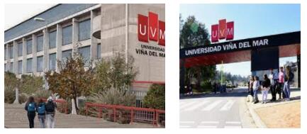 Study Abroad at University of Viña del Mar (3)
