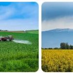 Bulgaria Agriculture, Fishing and Forestry