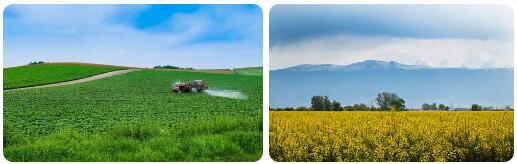Bulgaria Agriculture